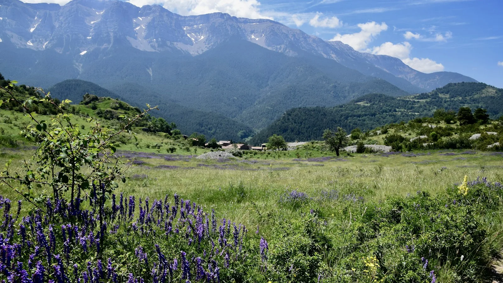 Le printemps (avril à juin) : la saison des contrastes